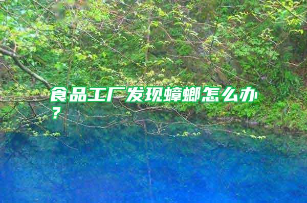 食品工廠發(fā)現(xiàn)蟑螂怎么辦?