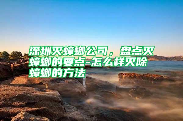 深圳滅蟑螂公司，盤點滅蟑螂的要點-怎么樣滅除蟑螂的方法