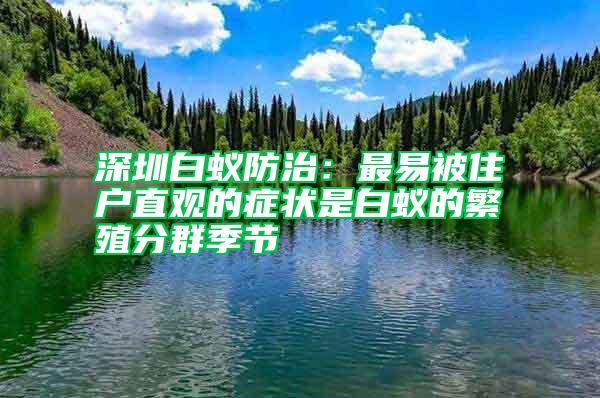 深圳白蟻防治:最易被住戶直觀的癥狀是白蟻的繁殖分群季節