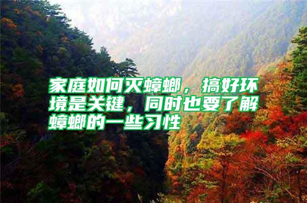 家庭如何滅蟑螂,搞好環境是關鍵,同時也要了解蟑螂的一些習性