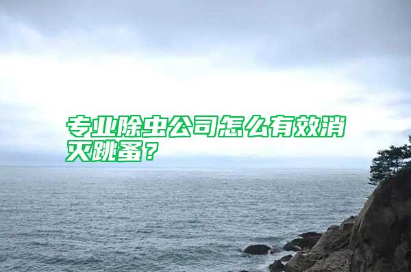 專(zhuān)業(yè)除蟲(chóng)公司怎么有效消滅跳蚤?