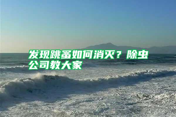 發(fā)現跳蚤如何消滅？除蟲公司教大家