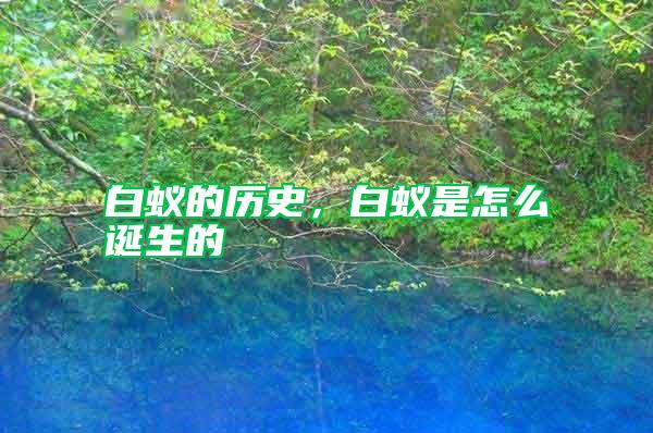 白蟻的歷史，白蟻是怎么誕生的