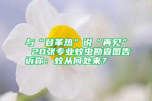 與“登革熱”說“再見” 20張專業蚊蟲勘查圖告訴你：蚊從何處來？