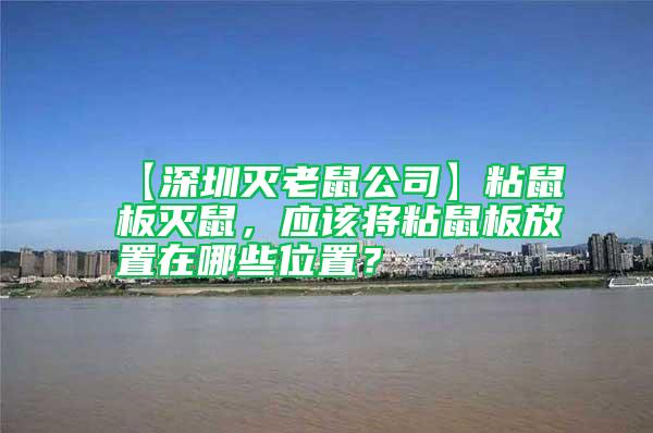 【深圳滅老鼠公司】粘鼠板滅鼠，應(yīng)該將粘鼠板放置在哪些位置？