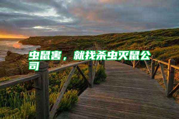 蟲鼠害,就找殺蟲滅鼠公司