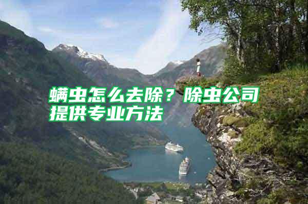 螨蟲怎么去除?除蟲公司提供專業方法