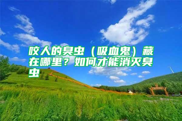 咬人的臭蟲(chóng)（吸血鬼）藏在哪里？如何才能消滅臭蟲(chóng)