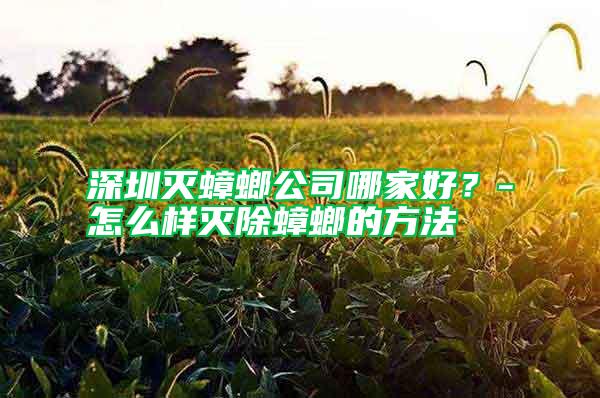 深圳滅蟑螂公司哪家好？-怎么樣滅除蟑螂的方法