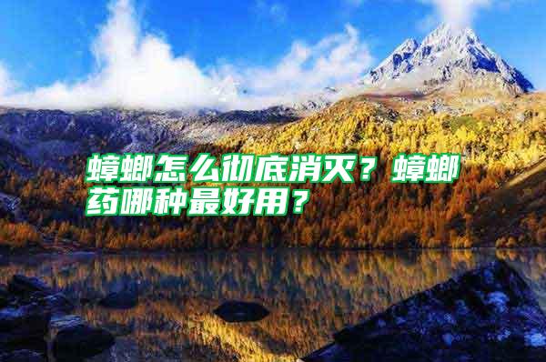 蟑螂怎么徹底消滅？蟑螂藥哪種最好用？