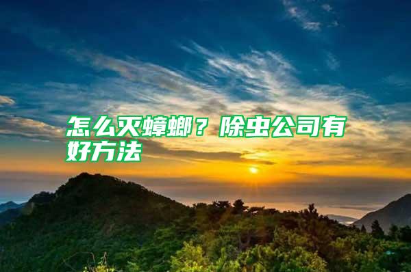 怎么滅蟑螂？除蟲公司有好方法