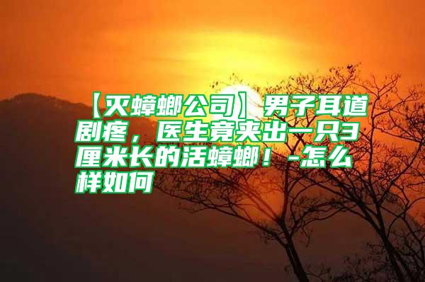 【滅蟑螂公司】男子耳道劇疼,醫(yī)生竟夾出一只3厘米長的活蟑螂!-怎么樣如何