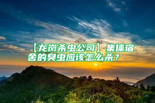 【龍崗殺蟲(chóng)公司】集體宿舍的臭蟲(chóng)應(yīng)該怎么殺?
