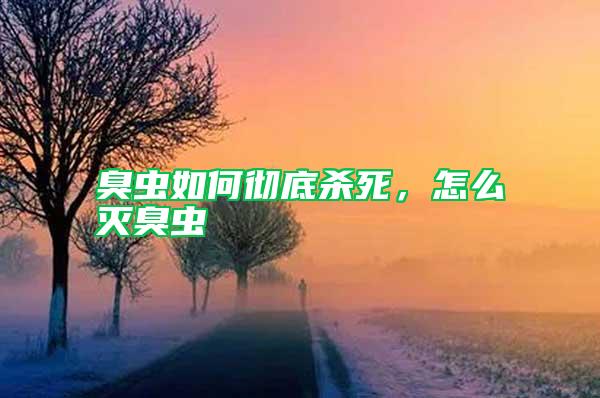 臭蟲如何徹底殺死,怎么滅臭蟲