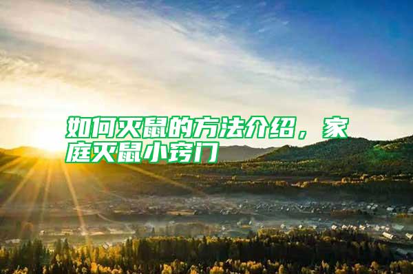 如何滅鼠的方法介紹,家庭滅鼠小竅門