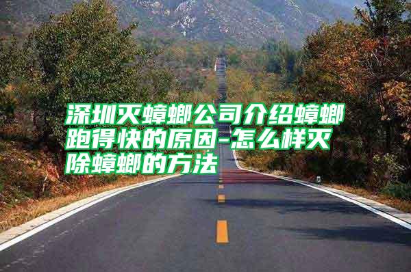 深圳滅蟑螂公司介紹蟑螂跑得快的原因-怎么樣滅除蟑螂的方法