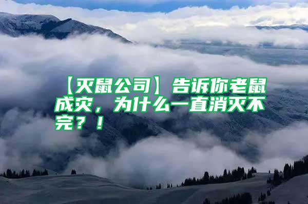 【滅鼠公司】告訴你老鼠成災(zāi),為什么一直消滅不完?!