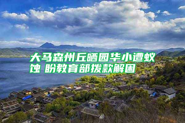 大馬森州丘曬園華小遭蟻蝕 盼教育部撥款解困