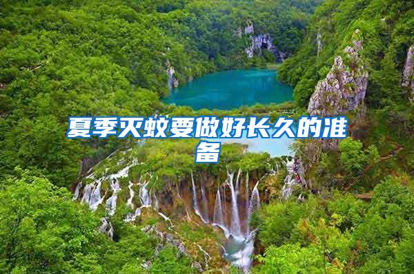 夏季滅蚊要做好長久的準備