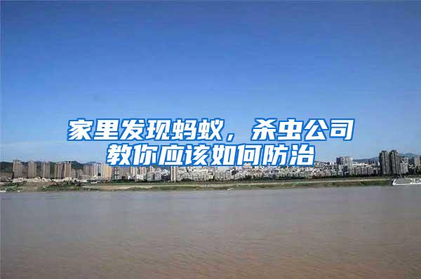 家里發(fā)現(xiàn)螞蟻，殺蟲公司教你應(yīng)該如何防治