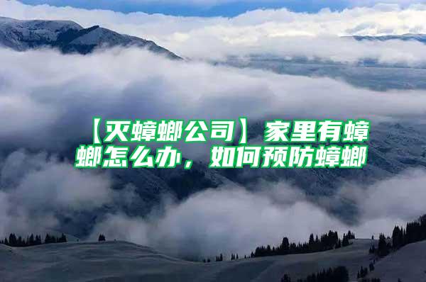 【滅蟑螂公司】家里有蟑螂怎么辦,如何預(yù)防蟑螂