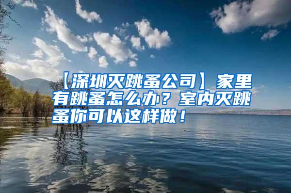 【深圳滅跳蚤公司】家里有跳蚤怎么辦？室內滅跳蚤你可以這樣做！