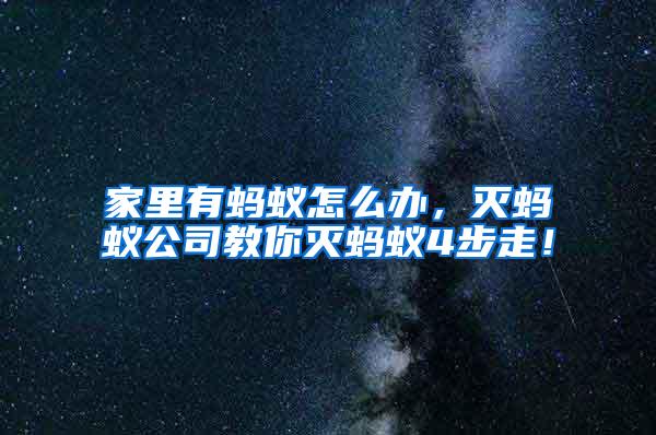 家里有螞蟻怎么辦,滅螞蟻公司教你滅螞蟻4步走!