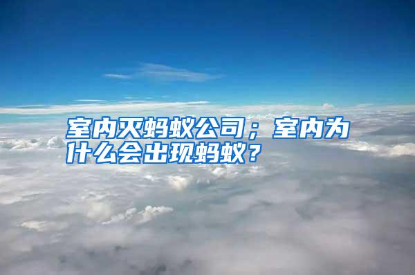 室內滅螞蟻公司;室內為什么會出現螞蟻?