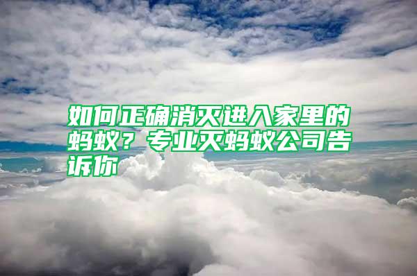 如何正確消滅進(jìn)入家里的螞蟻?專業(yè)滅螞蟻公司告訴你