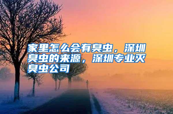 家里怎么會有臭蟲,深圳臭蟲的來源,深圳專業(yè)滅臭蟲公司