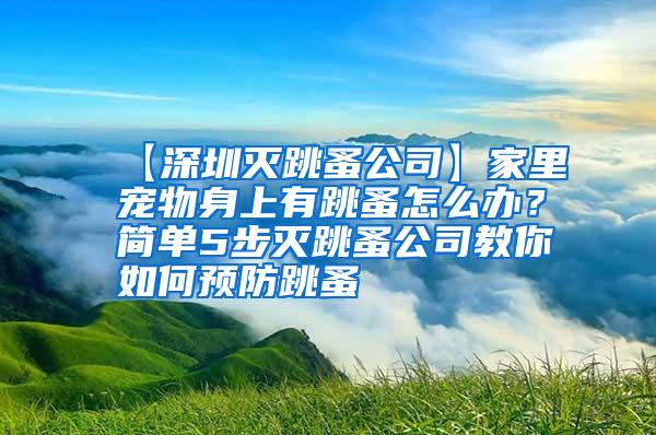 【深圳滅跳蚤公司】家里寵物身上有跳蚤怎么辦?簡單5步滅跳蚤公司教你如何預(yù)防跳蚤