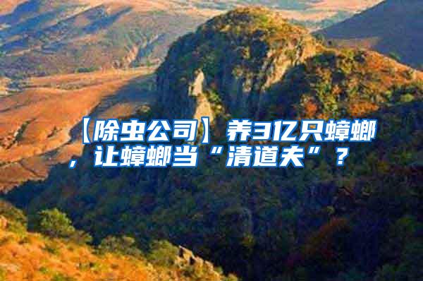 【除蟲公司】養3億只蟑螂,讓蟑螂當“清道夫”?