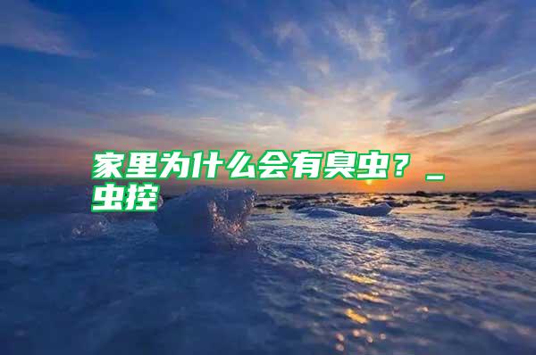 家里為什么會有臭蟲？_蟲控