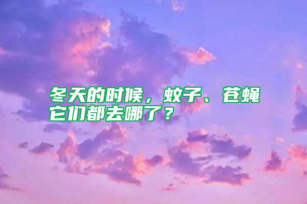 冬天的時候,蚊子、蒼蠅它們都去哪了?