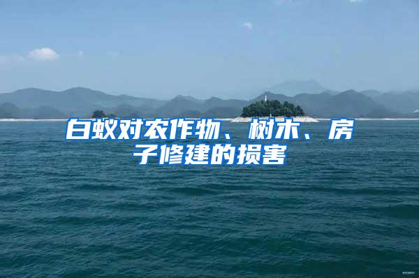 白蟻對農作物、樹木、房子修建的損害