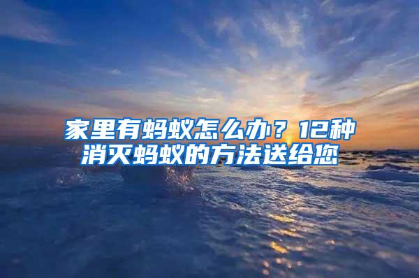 家里有螞蟻怎么辦?12種消滅螞蟻的方法送給您
