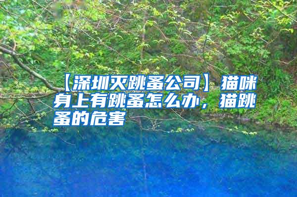 【深圳滅跳蚤公司】貓咪身上有跳蚤怎么辦，貓?zhí)榈奈：?/></p>
             <p style=