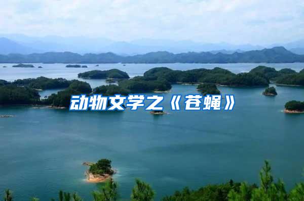 動物文學之《蒼蠅》