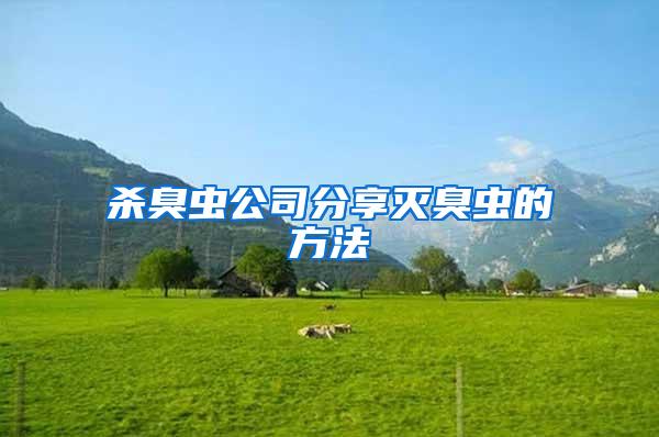 殺臭蟲(chóng)公司分享滅臭蟲(chóng)的方法