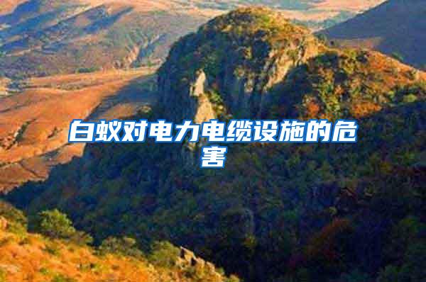 白蟻對(duì)電力電纜設(shè)施的危害