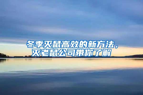 冬季滅鼠高效的新方法，滅老鼠公司帶你了解