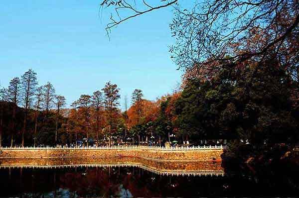 白蟻猖狂，你別驚慌