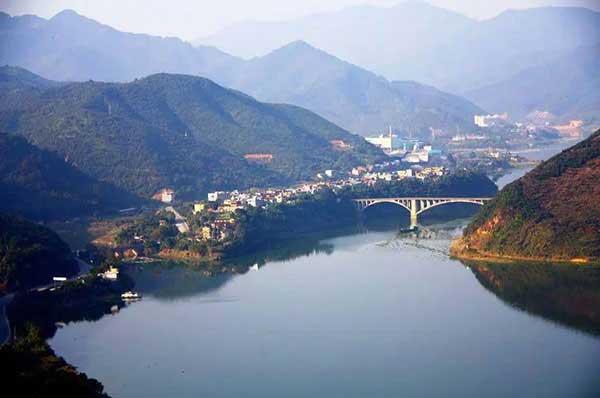 有螞蟻光顧你家?首選山甲牌滅螞蟻餌劑