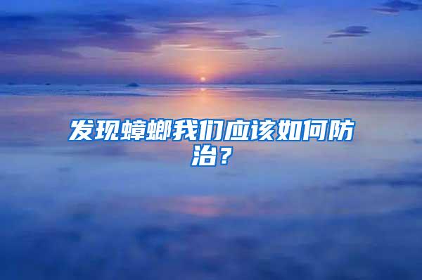 發(fā)現蟑螂我們應該如何防治?