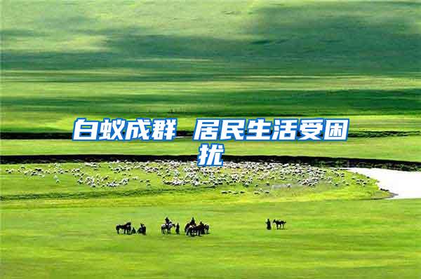 白蟻成群 居民生活受困擾