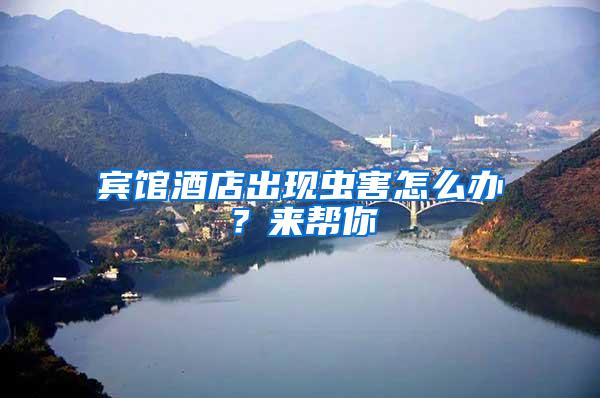 賓館酒店出現蟲害怎么辦？來幫你