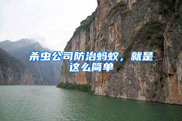 殺蟲公司防治螞蟻，就是這么簡單