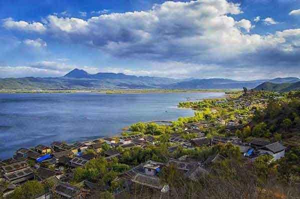 寨卡病毒蔓延全球或成真，家里如何做到沒蚊子