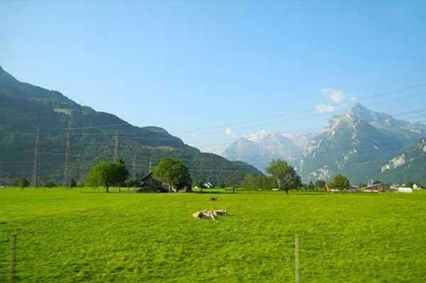 家里有蚊子怎么辦,提醒您防蚊切勿整夜熏蚊香