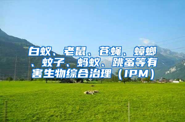 白蟻、老鼠、蒼蠅、蟑螂、蚊子、螞蟻、跳蚤等有害生物綜合治理（IPM）